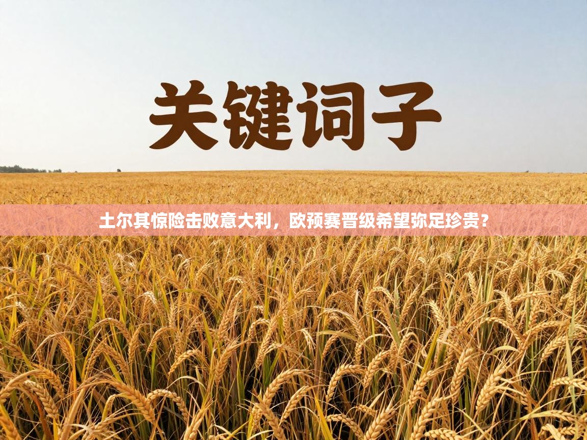 土尔其惊险击败意大利，欧预赛晋级希望弥足珍贵？