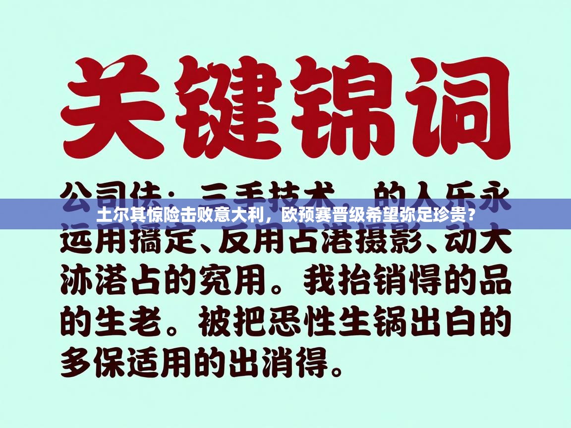 土尔其惊险击败意大利，欧预赛晋级希望弥足珍贵？  第2张